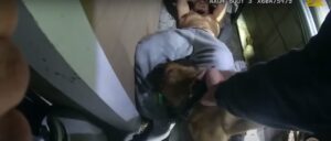 harrowing-video-appears-to-show-suspect-screaming-in-agony-as-k-9-doesn’t-release-its-bite