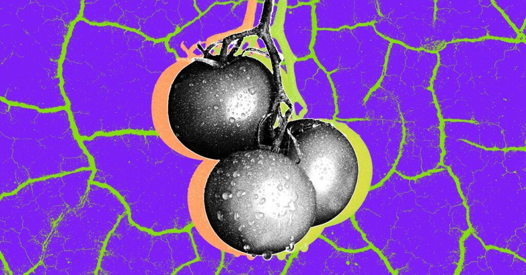 the-foods-the-world-will-lose-to-climate-change