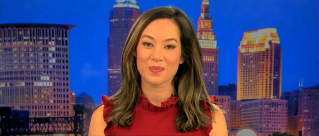 ‘this-boils-down-to-money’:-fox-news-guest-blasts-gop-gov-who-vetoed-child-sex-change-ban