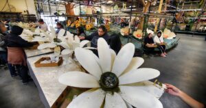 rose-parade-rings-in-new-year-with-135th-event