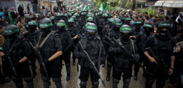 senior-harvard-law-prof-identifies-those-groups-supporting-hamas-terrorists
