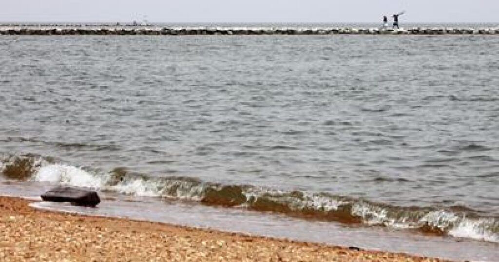 it-was-a-good-year-for-the-chesapeake-bay