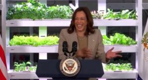 impeachment-insurance?-kamala-harris-polls-worse-than-joe-biden–even-among-black-voters