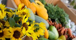 food-stamps:-new-mexico-snap-payments-worth-up-to-$1,751-for-january-to-wrap-up-in-18-days