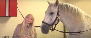 dozens-of-horses-fall-seriously-ill,-several-die-—-doctor-blames-toxic-weed