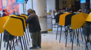 only-citizens-should-vote-in-america-|-the-gateway-pundit-|-by-guest-contributor