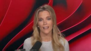 megyn-kelly-says-‘you-may-hear-from-jeffrey-epstein-in-the-coming-year-directly’-(video)
