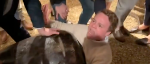‘he-was-laughing-at-first-…’:-video-shows-partier-stuck-in-decorative-urn-at-new-year’s-eve-bash