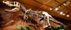 paleontologists-discover-new-dinosaur