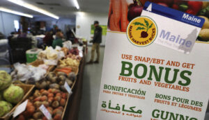 food-stamps:-february-montana-snap-payments-worth-up-to-$1,751-to-begin-in-21-days