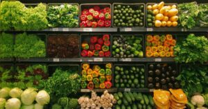 red-states-reject-biden-admin’s-laughable-summer-grocery-program