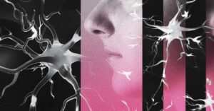 a-key-to-detecting-brain-disease-earlier-than-ever