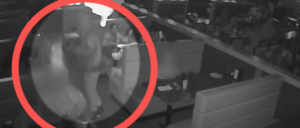 video-appears-to-show-alleged-cold-blooded-execution-of-man-in-crowded-hibachi-restaurant