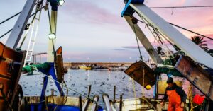 trawling-boats-are-hauling-up-ancient-carbon-from-the-ocean-depths
