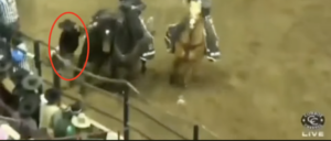 terrifying-video-shows-horse-crushing-cowboy’s-head