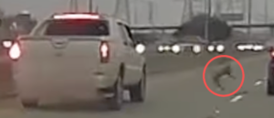 dash-cam-catches-moment-cat-thrown-out-car-window-on-highway