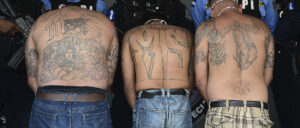 decade-after-original-deportation-order,-ice-finally-nabs-ms-13-criminal