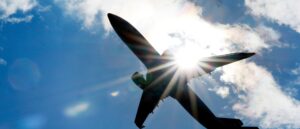 plane-forced-to-land-on-major-road-minutes-after-taking-off:-report