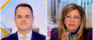 ‘best-option’:-dem-strategist-won’t-say-if-biden-and-harris-are-‘dream-team’