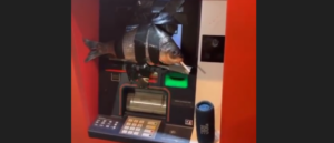 police-arrest-teen-for-allegedly-taping-fish-to-atm-machines:-report