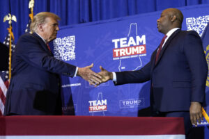 replay-the-tape:-dnc-revives-warnings-of-trump-rivals-to-taunt-him-before-new-hampshire-primary