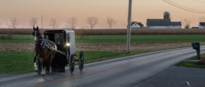 woman-allegedly-commits-grand-theft-buggy-while-amish-family-shops-at-walmart,-police-say