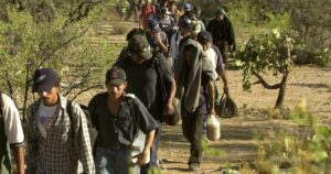 closed-borders,-not-drug-legalization-will-reduce-the-drug-crisis!