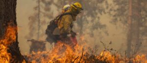 report:-firefighter-arrested-for-doing-the-exact-opposite-of-her-job