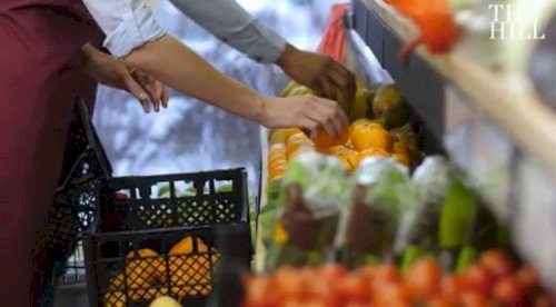 shoplifting-threatens-to-close-washington,-dc-grocery-store-creating-a-food-desert-|-the-gateway-pundit-|-by-mike-lachance