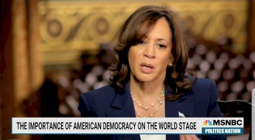 two-peas-in-a-pod.-kamala-harris-talks-to-al-sharpton-about-“what-erosion-of-democracy-will-mean”-(video)-|-the-gateway-pundit-|-by-david-greyson