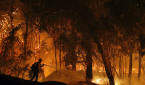 pnw-lawmakers-want-faster-fema-response-for-wildfire-victims