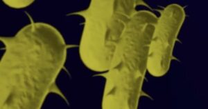 bizarre-obelisk-shaped-rna-bits-disovered-in-human-gut-by-stanford-scientists