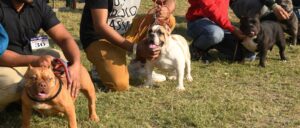 85-year-old-indiana-man-dies-from-brutal-dog-attack-while-saving-his-wife