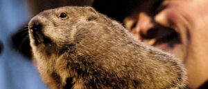 punxsutawney-phil-makes-his-groundhog-day-prediction