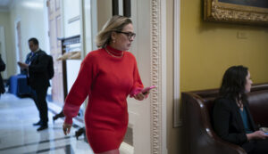 ‘amnesty’-or-border-crackdown?-what’s-in-the-senate’s-$20-billion-immigration-deal?