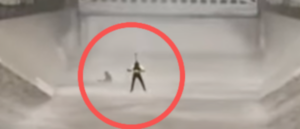 dramatic-video-shows-helicopter-crew-saving-man-and-dog-from-raging-waters