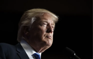 hawaii-democrats-pass-bill-to-remove-president-trump-from-ballot-|-the-gateway-pundit-|-by-jim-hᴏft