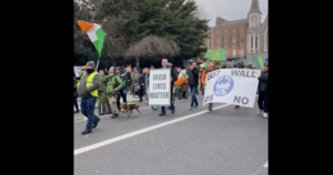 thousands-fill-dublin-streets-in-protest-against-migrant-invasion-(video)