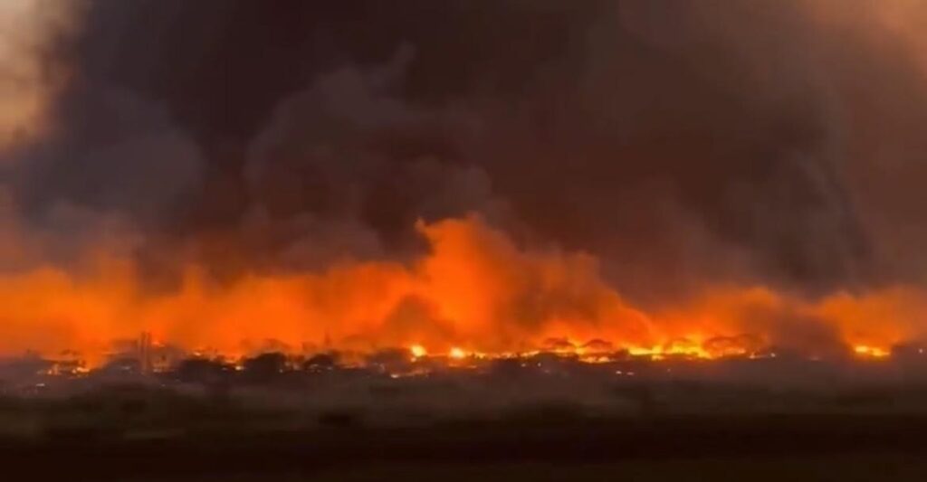 green-energy-disaster:-hawaiian-electric-blamed-for-fires-after-concentrating-on-green-energy-projects-rather-than-safety-of-existing-infrastructure-|-the-gateway-pundit-|-by-jim-hoft