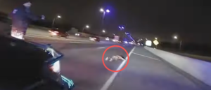 video-shows-police-chase-down-naked-man-on-busy-interstate