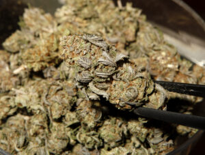 bill-protects-medical-marijuana-patients’-gun-ownership-rights-–-washington-examiner