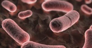 health-officials-confirm-case-of-bubonic-plague-in-the-united-states