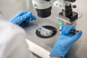 hospital-system-in-alabama-ivf-case-pauses-treatment-–-washington-examiner