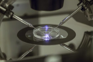 house-democrats-prepare-offensive-against-gop-on-ivf