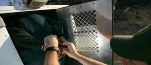 illegal-immigrant-reportedly-charged-with-murder-of-toddler-after-multiple-prior-arrests
