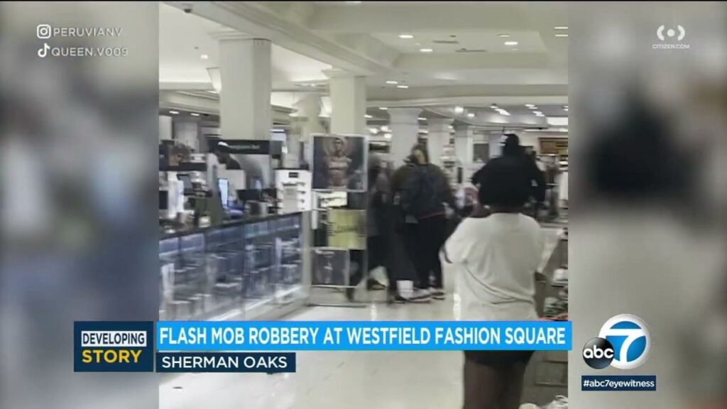 9-masked-smash-and-grab-thieves-ransack-macy’s-in-los-angeles,-shove-stolen-merchandise-in-trashbags-(video)-|-the-gateway-pundit-|-by-david-greyson