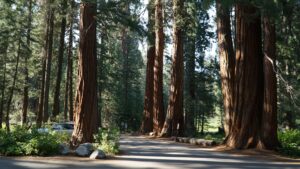 us-forest-service-shuts-down-miracle-hot-springs-‘indefinitely’-after-second-body-found-in-water