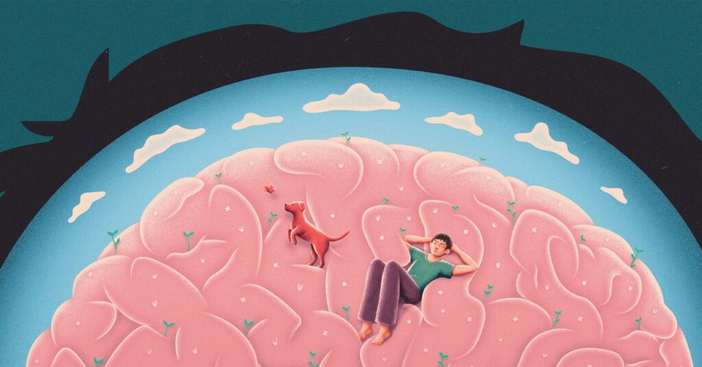 this-is-what-your-brain-does-when-you’re-not-doing-anything