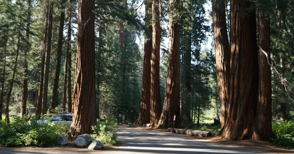 us-forest-service-shuts-down-top-tourist-spot-‘indefinitely’-after-second-body-found