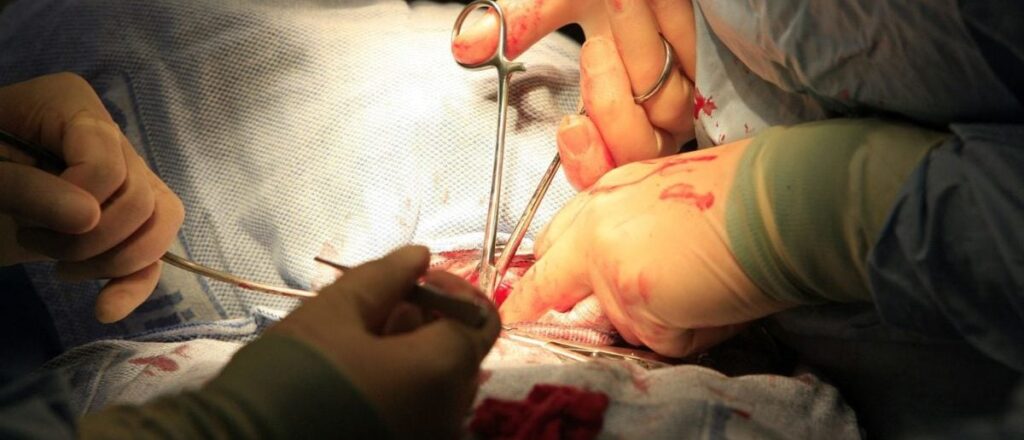 rooke:-leaked-docs-reveal-the-trans-cult-is-going-even-further-than-we-ever-knew